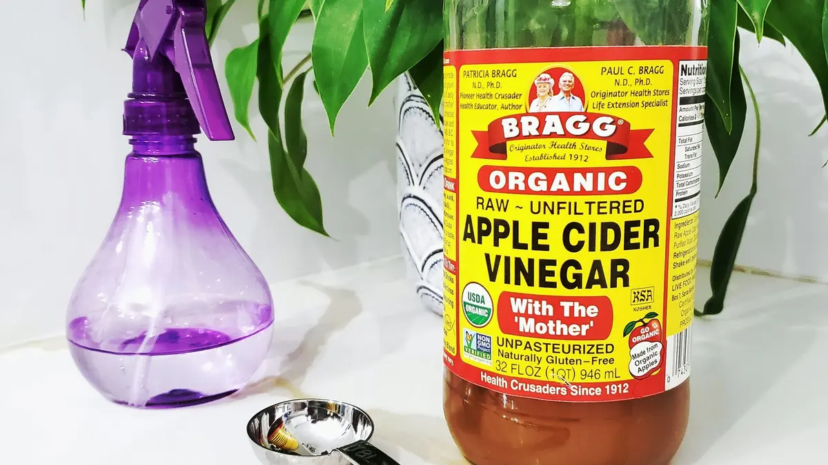 Vaporisateur et bouteille de vinaigre posés près d'une plante verte